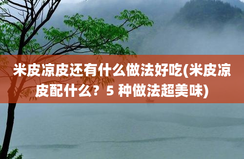 米皮凉皮还有什么做法好吃(米皮凉皮配什么？5 种做法超美味)