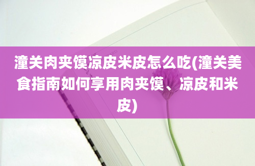 潼关肉夹馍凉皮米皮怎么吃(潼关美食指南如何享用肉夹馍、凉皮和米皮)