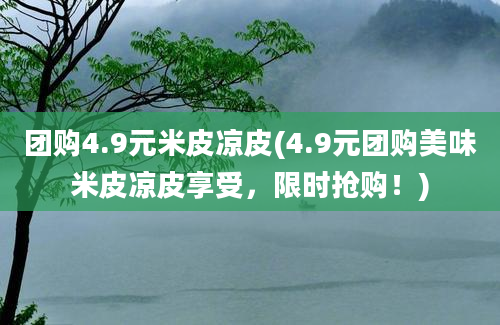 团购4.9元米皮凉皮(4.9元团购美味米皮凉皮享受，限时抢购！)