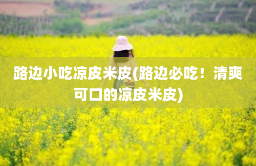 路边小吃凉皮米皮(路边必吃！清爽可口的凉皮米皮)