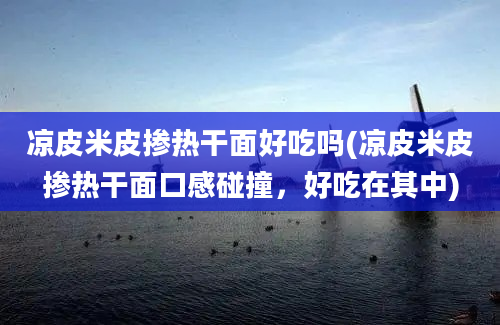 凉皮米皮掺热干面好吃吗(凉皮米皮掺热干面口感碰撞，好吃在其中)