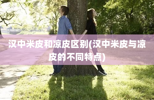 汉中米皮和凉皮区别(汉中米皮与凉皮的不同特点)