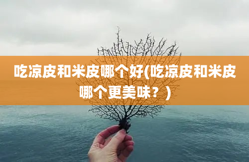 吃凉皮和米皮哪个好(吃凉皮和米皮哪个更美味？)