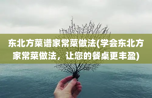 东北方菜谱家常菜做法(学会东北方家常菜做法，让您的餐桌更丰盈)