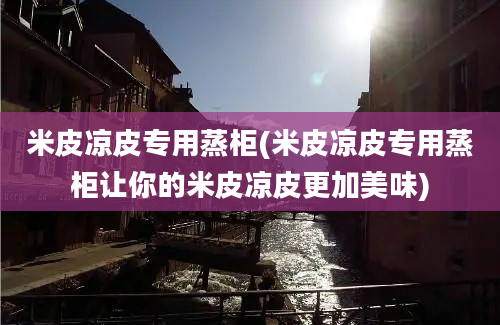 米皮凉皮专用蒸柜(米皮凉皮专用蒸柜让你的米皮凉皮更加美味)