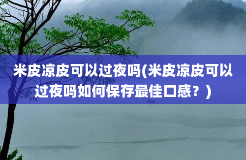 米皮凉皮可以过夜吗(米皮凉皮可以过夜吗如何保存最佳口感？)