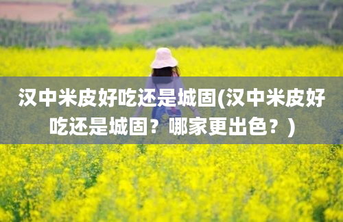 汉中米皮好吃还是城固(汉中米皮好吃还是城固？哪家更出色？)