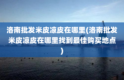 洛南批发米皮凉皮在哪里(洛南批发米皮凉皮在哪里找到最佳购买地点)