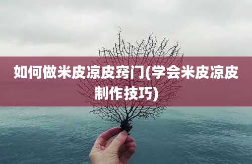 如何做米皮凉皮窍门(学会米皮凉皮制作技巧)