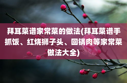 拜耳菜谱家常菜的做法(拜耳菜谱手抓饭、红烧狮子头、回锅肉等家常菜做法大全)