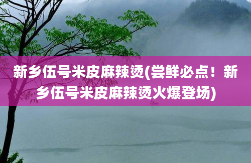 新乡伍号米皮麻辣烫(尝鲜必点！新乡伍号米皮麻辣烫火爆登场)