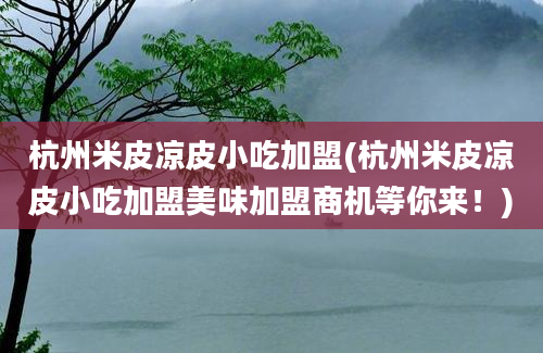 杭州米皮凉皮小吃加盟(杭州米皮凉皮小吃加盟美味加盟商机等你来！)