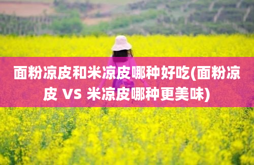 面粉凉皮和米凉皮哪种好吃(面粉凉皮 VS 米凉皮哪种更美味)