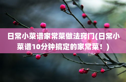 日常小菜谱家常菜做法窍门(日常小菜谱10分钟搞定的家常菜！)