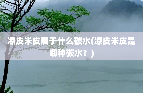 凉皮米皮属于什么碳水(凉皮米皮是哪种碳水？)