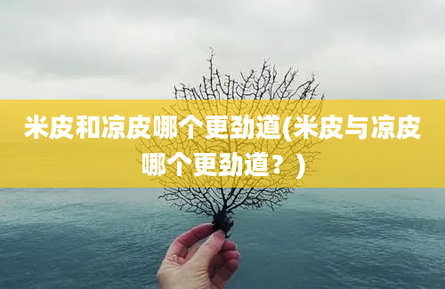 米皮和凉皮哪个更劲道(米皮与凉皮哪个更劲道？)