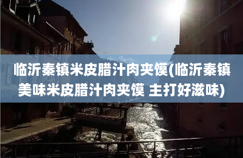 临沂秦镇米皮腊汁肉夹馍(临沂秦镇美味米皮腊汁肉夹馍 主打好滋味)