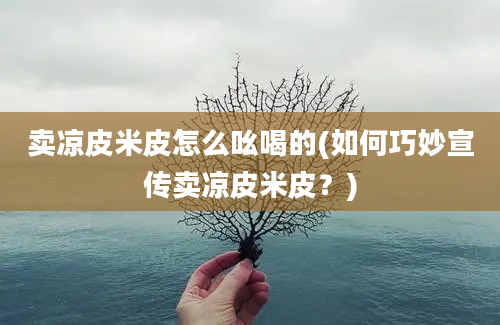 卖凉皮米皮怎么吆喝的(如何巧妙宣传卖凉皮米皮？)