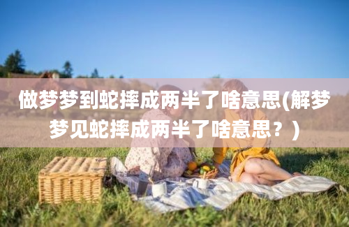 做梦梦到蛇摔成两半了啥意思(解梦梦见蛇摔成两半了啥意思？)