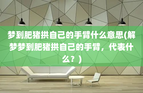 梦到肥猪拱自己的手臂什么意思(解梦梦到肥猪拱自己的手臂，代表什么？)