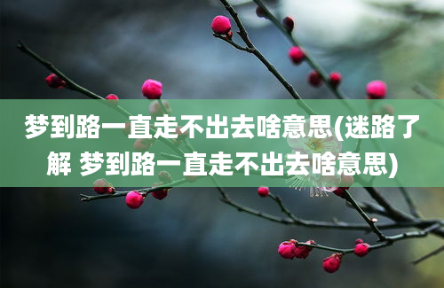 梦到路一直走不出去啥意思(迷路了解 梦到路一直走不出去啥意思)