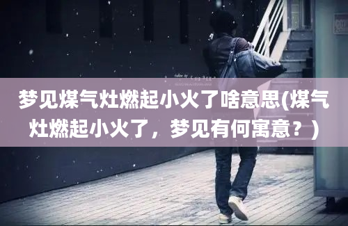 梦见煤气灶燃起小火了啥意思(煤气灶燃起小火了，梦见有何寓意？)