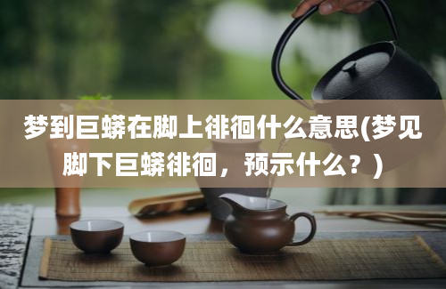 梦到巨蟒在脚上徘徊什么意思(梦见脚下巨蟒徘徊，预示什么？)