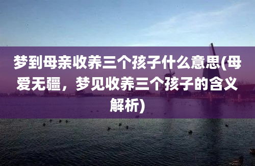 梦到母亲收养三个孩子什么意思(母爱无疆，梦见收养三个孩子的含义解析)