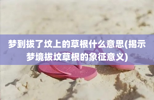 梦到拔了坟上的草根什么意思(揭示梦境拔坟草根的象征意义)