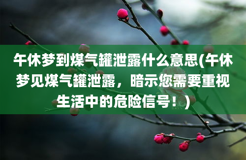 午休梦到煤气罐泄露什么意思(午休梦见煤气罐泄露，暗示您需要重视生活中的危险信号！)