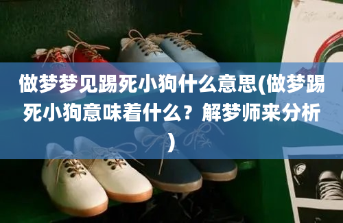 做梦梦见踢死小狗什么意思(做梦踢死小狗意味着什么？解梦师来分析)