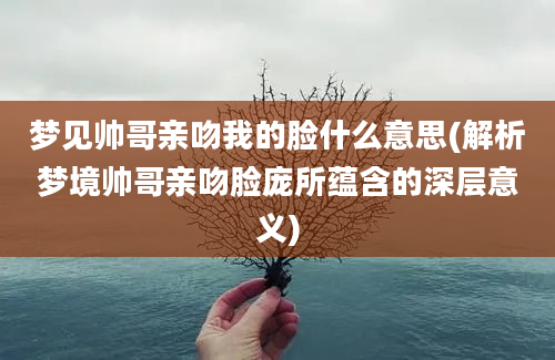 梦见帅哥亲吻我的脸什么意思(解析梦境帅哥亲吻脸庞所蕴含的深层意义)