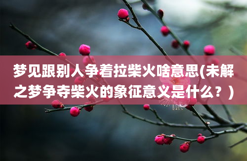 梦见跟别人争着拉柴火啥意思(未解之梦争夺柴火的象征意义是什么？)