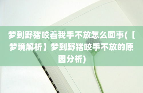 梦到野猪咬着我手不放怎么回事(【梦境解析】梦到野猪咬手不放的原因分析)