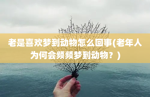 老是喜欢梦到动物怎么回事(老年人为何会频频梦到动物？)