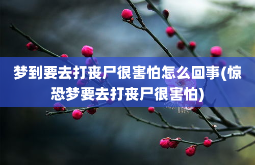 梦到要去打丧尸很害怕怎么回事(惊恐梦要去打丧尸很害怕)