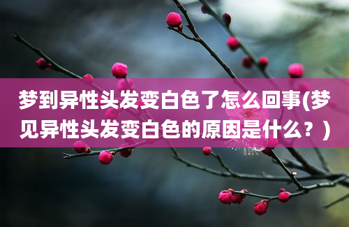 梦到异性头发变白色了怎么回事(梦见异性头发变白色的原因是什么？)