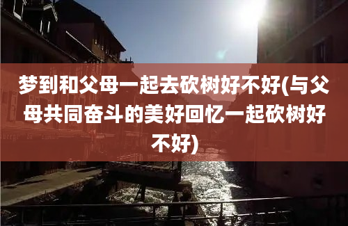 梦到和父母一起去砍树好不好(与父母共同奋斗的美好回忆一起砍树好不好)