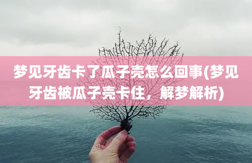 梦见牙齿卡了瓜子壳怎么回事(梦见牙齿被瓜子壳卡住，解梦解析)