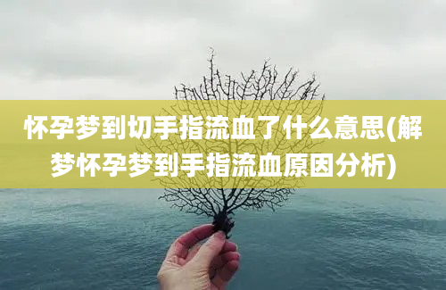 怀孕梦到切手指流血了什么意思(解梦怀孕梦到手指流血原因分析)