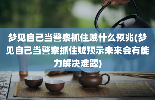 梦见自己当警察抓住贼什么预兆(梦见自己当警察抓住贼预示未来会有能力解决难题)