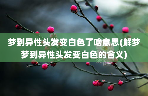 梦到异性头发变白色了啥意思(解梦梦到异性头发变白色的含义)