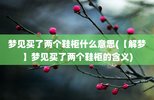 梦见买了两个鞋柜什么意思(【解梦】梦见买了两个鞋柜的含义)