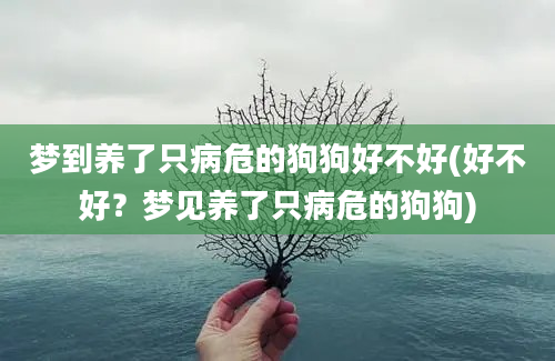 梦到养了只病危的狗狗好不好(好不好？梦见养了只病危的狗狗)