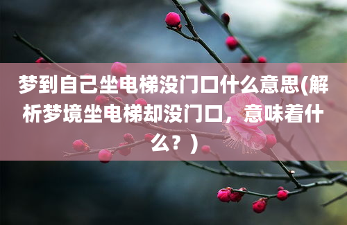 梦到自己坐电梯没门口什么意思(解析梦境坐电梯却没门口，意味着什么？)