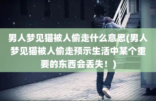 男人梦见猫被人偷走什么意思(男人梦见猫被人偷走预示生活中某个重要的东西会丢失！)