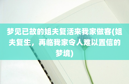 梦见已故的姐夫复活来我家做客(姐夫复生，再临我家令人难以置信的梦境)