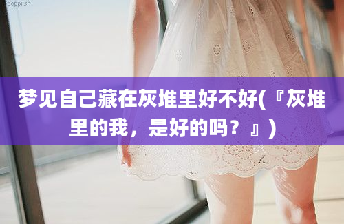 梦见自己藏在灰堆里好不好(『灰堆里的我，是好的吗？』)