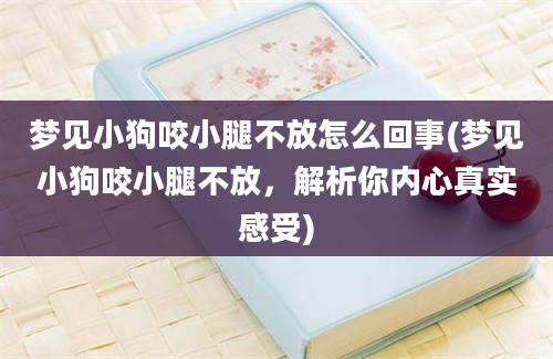 梦见小狗咬小腿不放怎么回事(梦见小狗咬小腿不放，解析你内心真实感受)