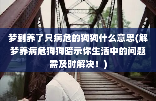 梦到养了只病危的狗狗什么意思(解梦养病危狗狗暗示你生活中的问题需及时解决！)